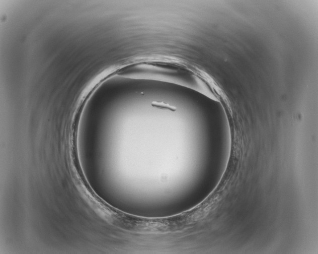 X0000087421187200704201418