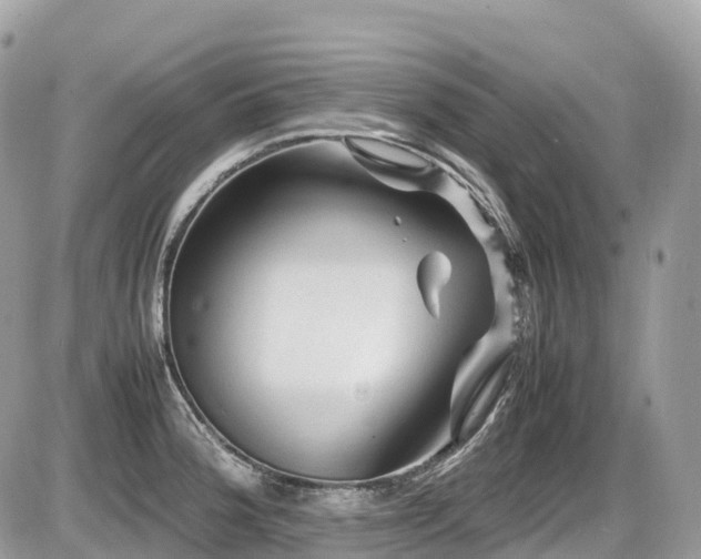 X0000087421188200704201418