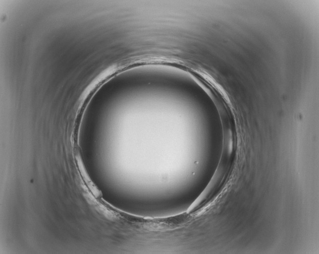 X0000087421189200704201418