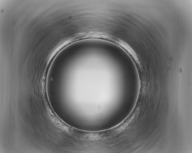 X0000087421190200704201418