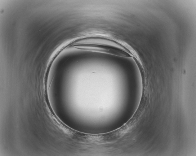 X0000087421191200704201418