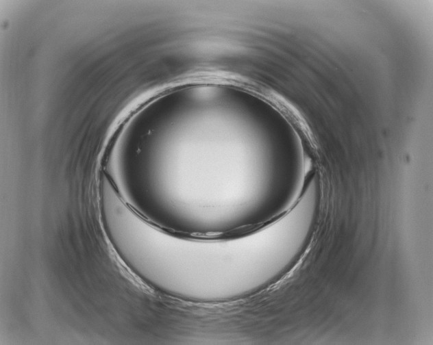 X0000087421192200704201418