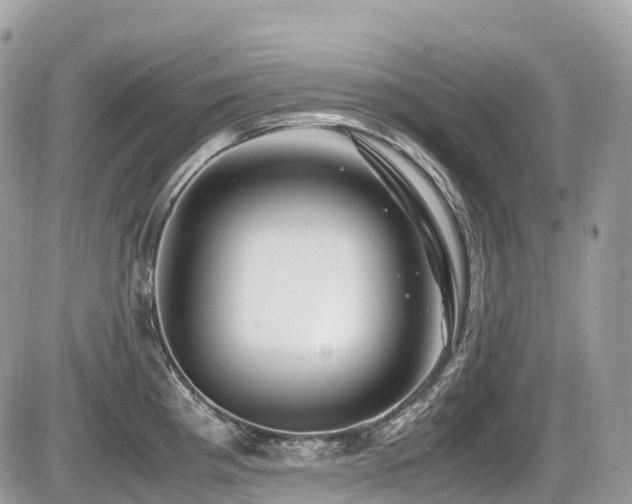 X0000087421193200704201418