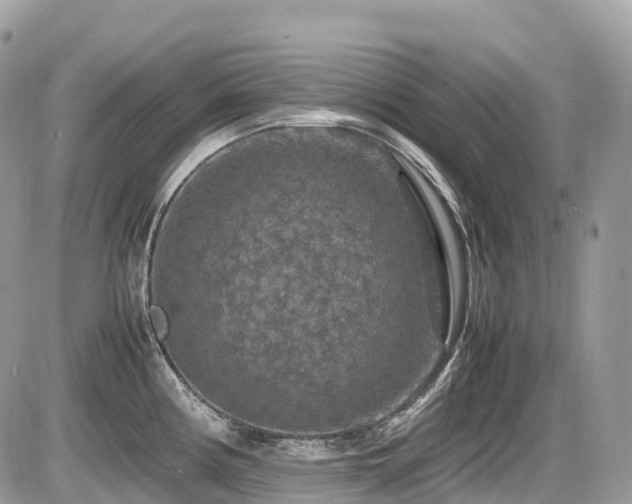 X0000087421194200704201418