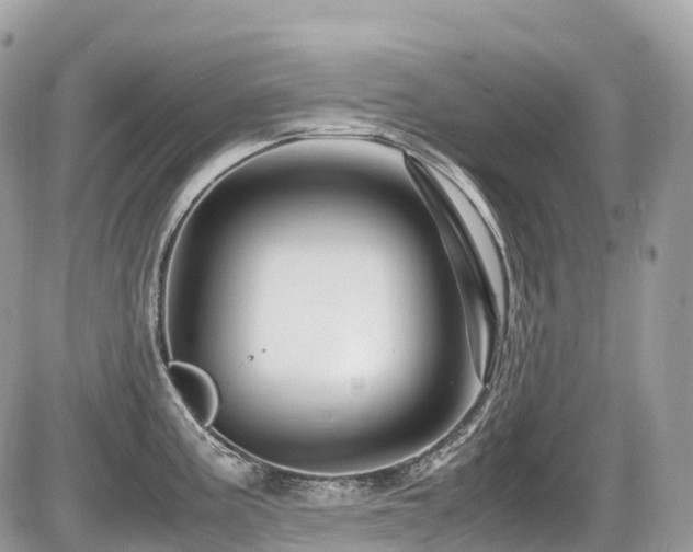 X0000087421195200704201418