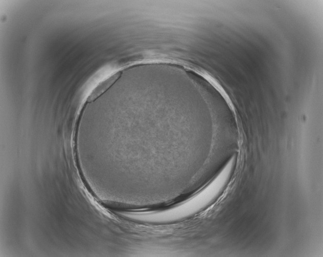 X0000087421197200704201418