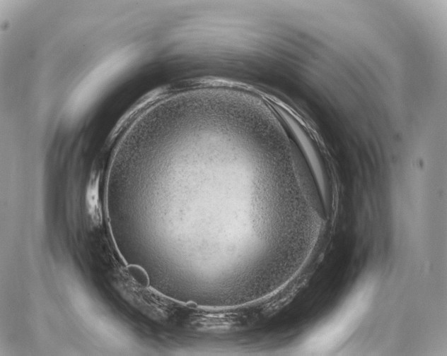 X0000087421198200704201418