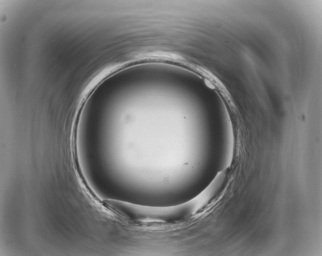 X0000087421199200704201418