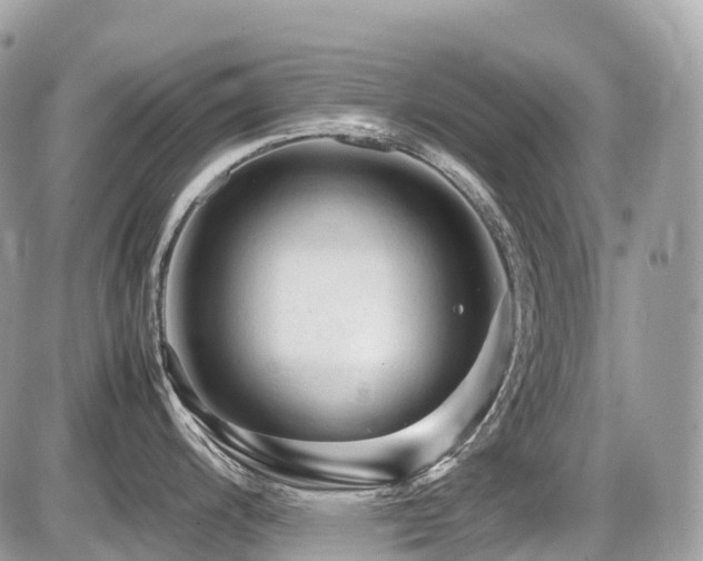 X0000087421200200704201418