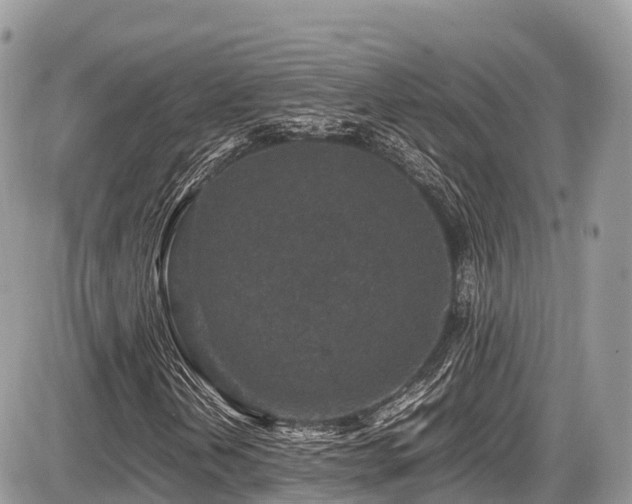 X0000087421202200704201417