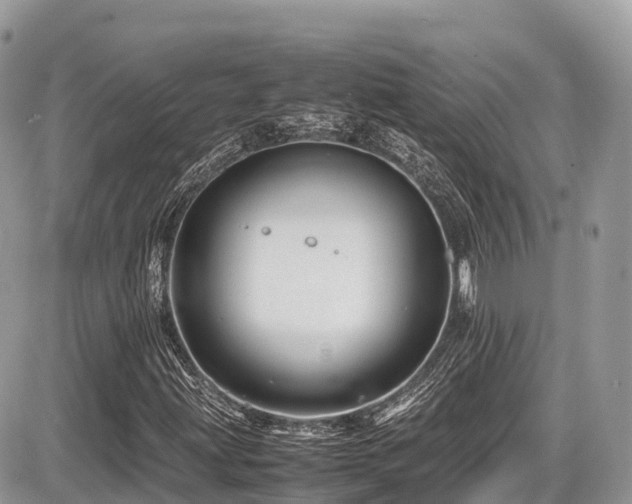 X0000087421203200704201417