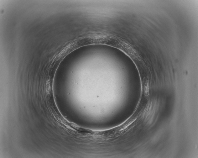 X0000087421204200704201417