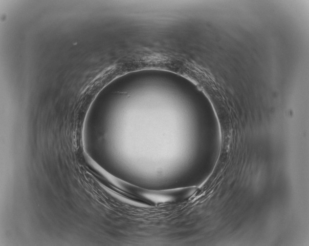 X0000087421205200704201417