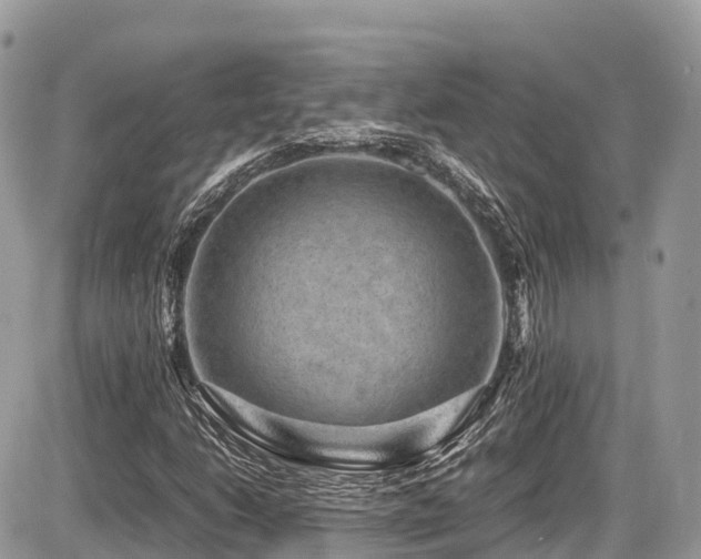 X0000087421206200704201417