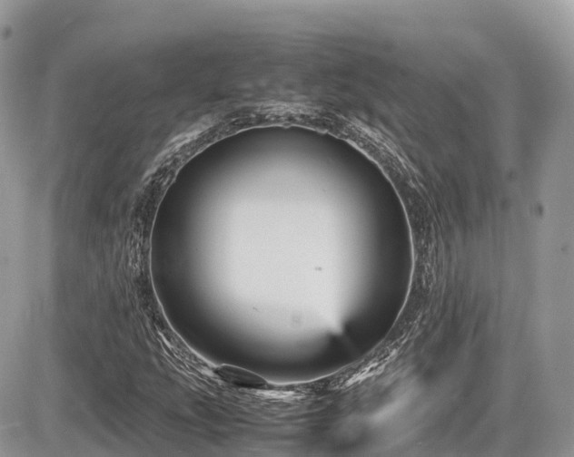 X0000087421207200704201417