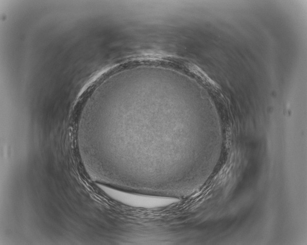 X0000087421208200704201417