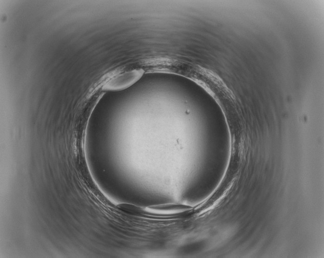 X0000087421209200704201417