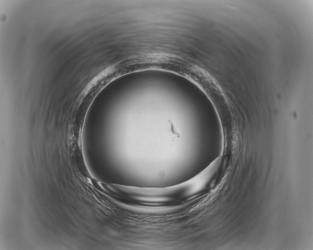 X0000087421210200704201417