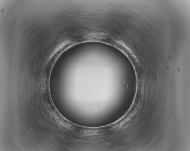 X0000087421211200704201417