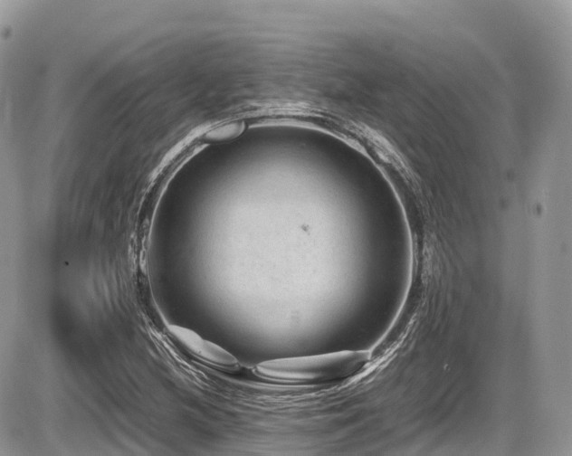 X0000087421212200704201417