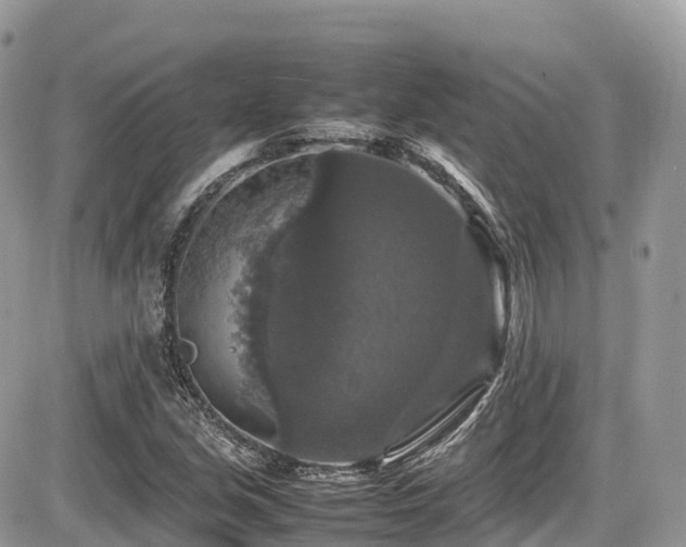 X0000087421213200704201417