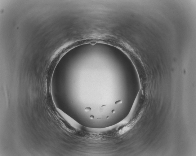 X0000087421214200704201417