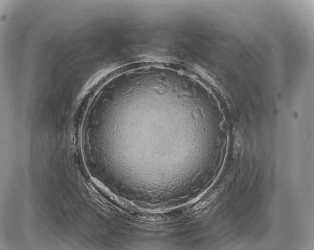 X0000087421215200704201417