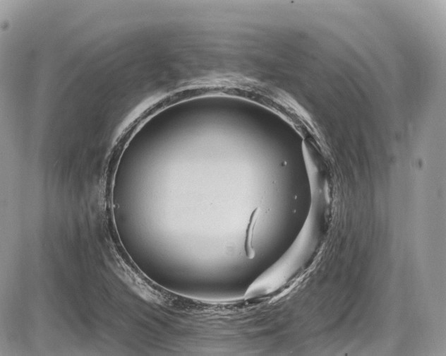 X0000087421216200704201417