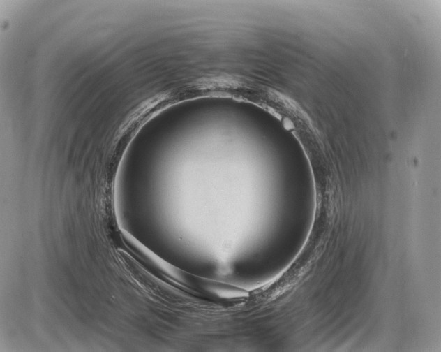 X0000087421217200704201417