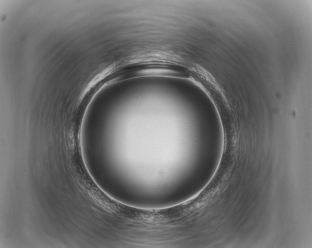 X0000087421218200704201417