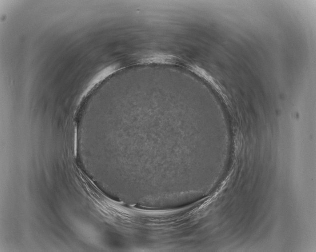 X0000087421219200704201417