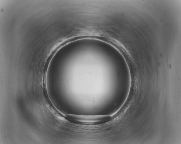 X0000087421220200704201417