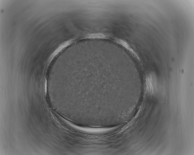 X0000087421221200704201417