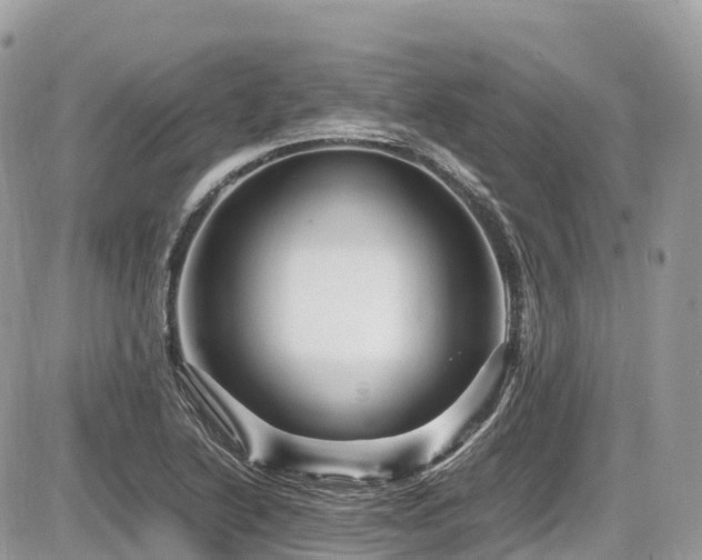 X0000087421222200704201417