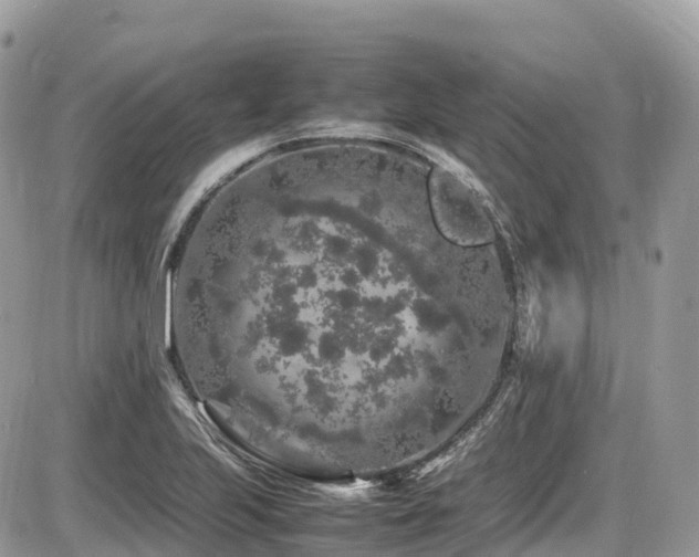 X0000087421223200704201417