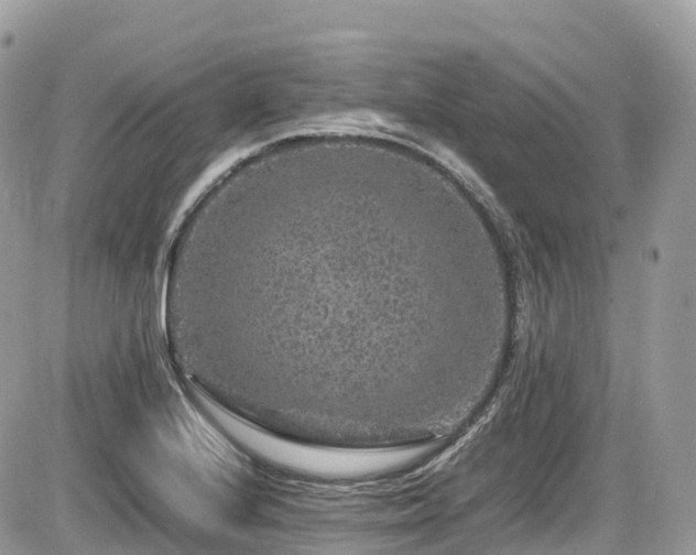 X0000087421224200704201417