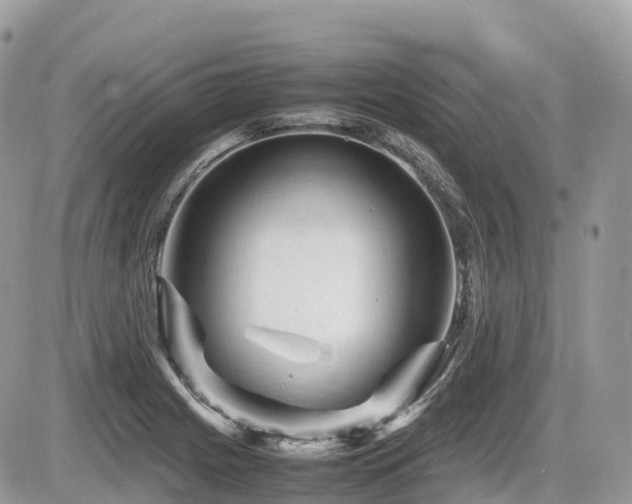 X0000087421225200704201417