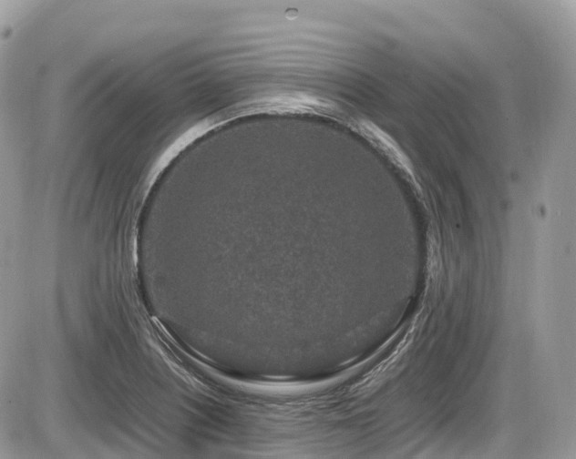 X0000087421226200704201418