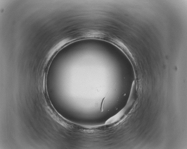 X0000087421227200704201418