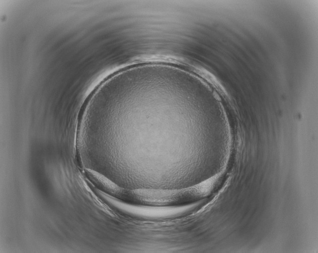 X0000087421228200704201418