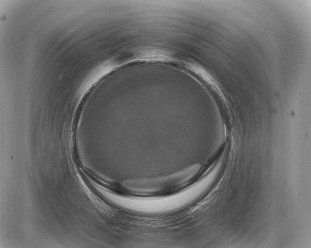 X0000087421229200704201418