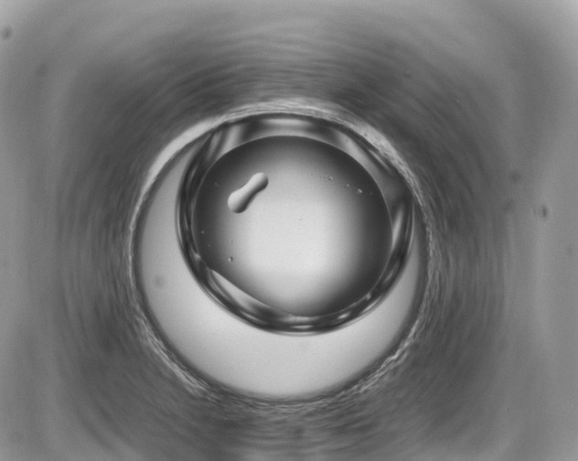 X0000087421230200704201418