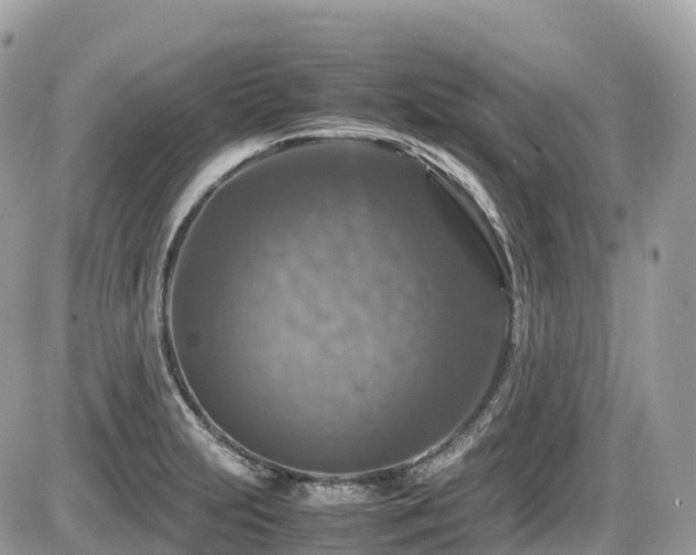 X0000087421231200704201418