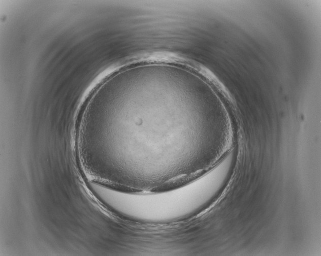 X0000087421232200704201418