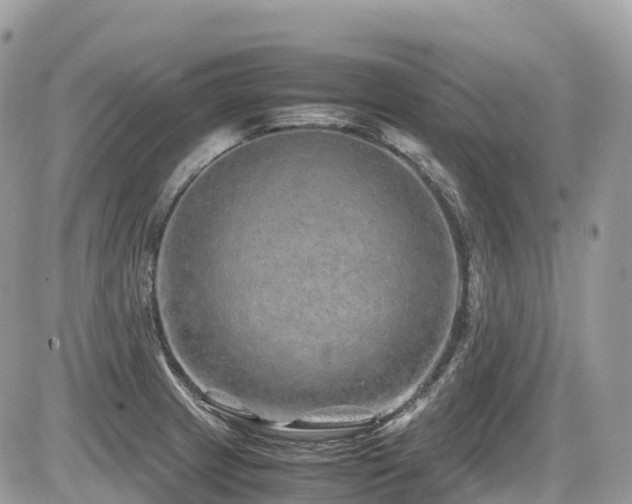 X0000087421233200704201418