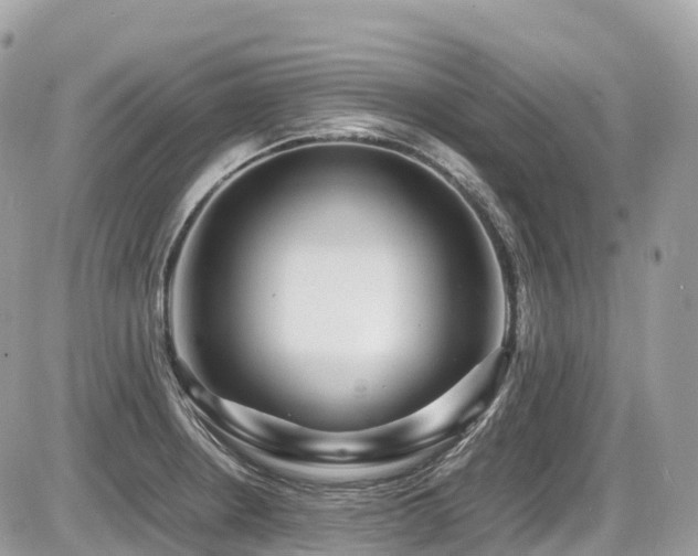 X0000087421234200704201418