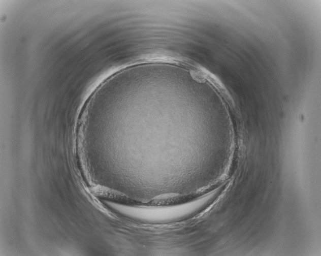 X0000087421236200704201418