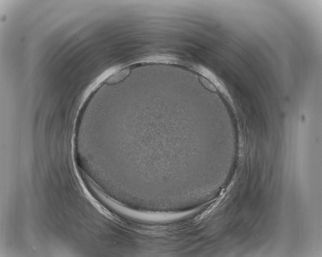 X0000087421237200704201418