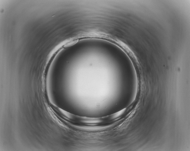 X0000087421238200704201418