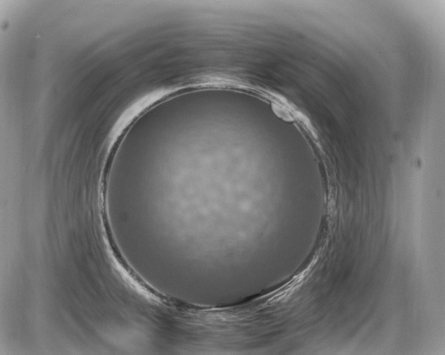 X0000087421239200704201418